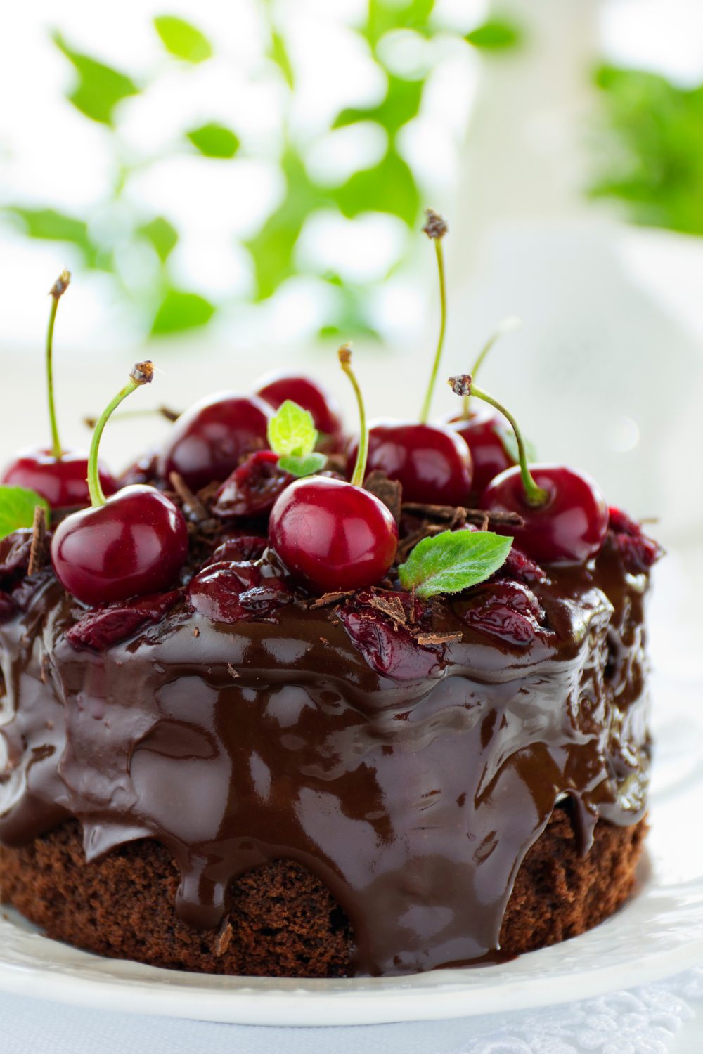 Nigella Chocolate Cherry Cake