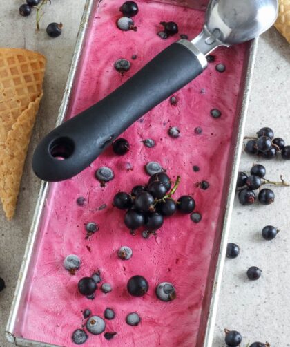 Nigella Blackcurrant Ice Cream​ Recipe