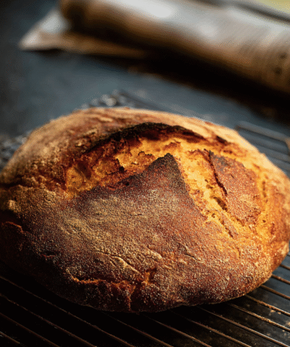 Nigella No-Knead Bread Recipe